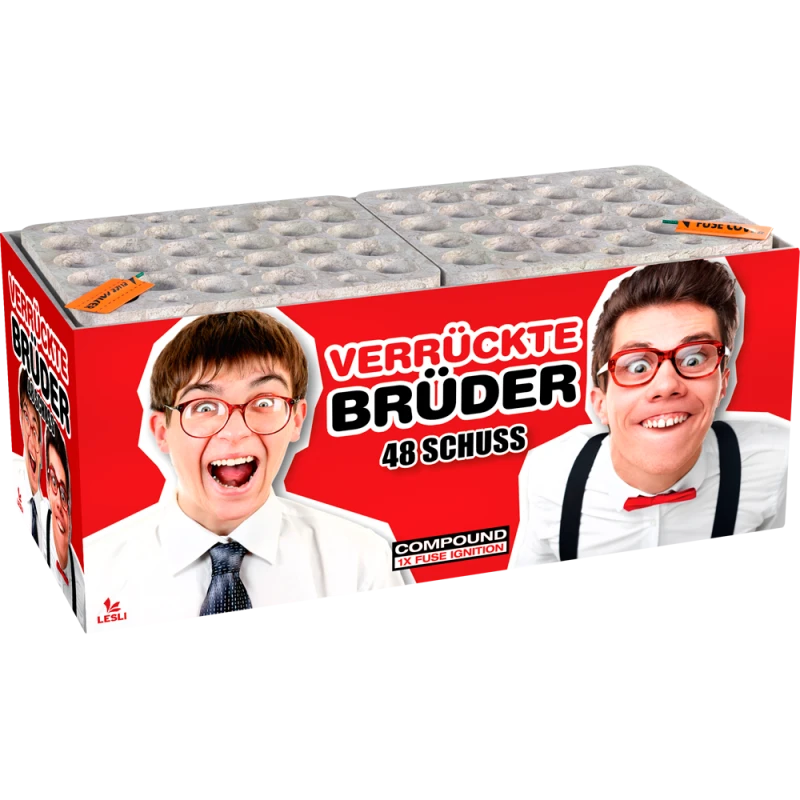 Verrückte Brüder - Lesli