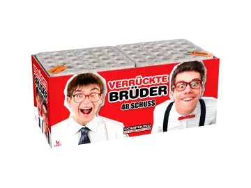 Verrückte Brüder - Lesli